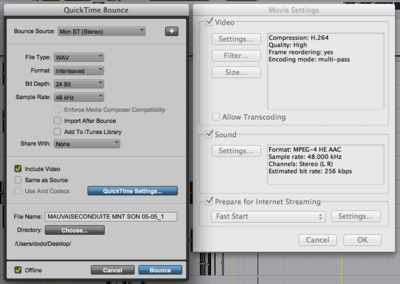 pt11-bouncetoquicktime.png (124.91 Kio) Consulté 5967 fois Réglages Bounce to Quicktime...