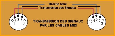 signaux-cable-midi.jpg